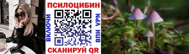 Галлюциногенные грибы ЛСД Андреаполь