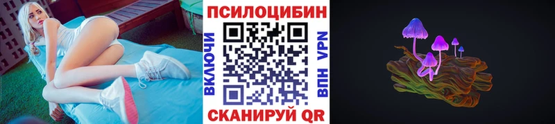 Псилоцибиновые грибы прущие грибы  закладки  Андреаполь 